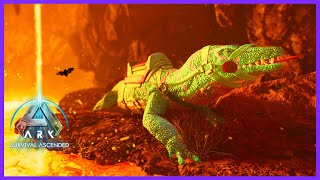 Lava Cave UITDAGING kan de Megalania het aan  Ark Survival Ascended E18 [upl. by Deibel]