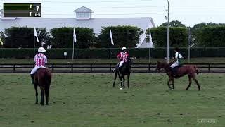 Mar 2nd 2024  Sieber Memorial 12 Goal  Dead End  Westhaven vs Hawaii Polo Life [upl. by Cecilla]