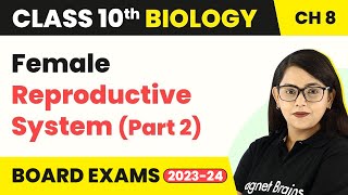 Class 10 Biology Chapter 8  Female Reproductive System Part  2 [upl. by Yezdnil112]