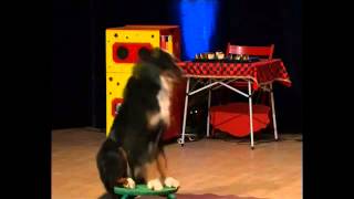 Kathlen´s lustige Hundeshow in Frankreich [upl. by Ursala903]