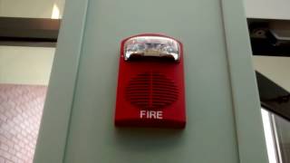 Fire Alarm Activation Due to Suppression System [upl. by Elletnuahs]