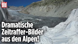 Schweizer Gletscher schmelzen in Rekordzeit  ZeitrafferVideo [upl. by Mosra]