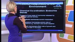 Show 14 Endocrine System and Homeostasis  Whole show English [upl. by Yrtnahc]