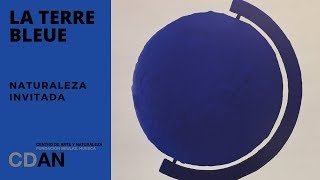 La Terre bleue  Yves Klein  Naturaleza Invitada  CDAN 2019 [upl. by Ecnarf]