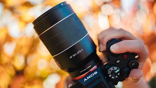 Samyang 35mm f14 mk II Real World Review for Photo  Video [upl. by Intisar]