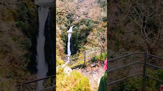 Eugenes Epic Devil’s Bridge Waterfalls Adventure 🌊🐾 [upl. by Airbas]