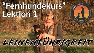 quotFernhundekursquot Lektion 1  Leinenführigkeit Teil 1  Hundeschule UB [upl. by Niobe97]