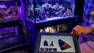 Seneye Reef Monitor Unbox Setup and First Impressions [upl. by Frydman]