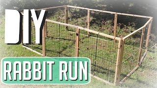 How I Made My Rabbit Run [upl. by Kerrison319]