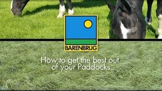 How to Maintain and Renovate Horse Grass Paddocks Advice on Equine Paddocks [upl. by Ambrosi]