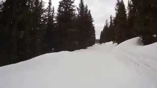 Schladming Planai Piste 8 Weitmoosabfahrt [upl. by Camm]