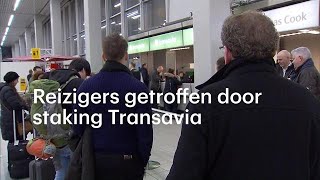 Onze terugreis gaat niet meer door 7000 reizigers getroffen door staking Transavia  RTL NIEUWS [upl. by Atiuqahc]