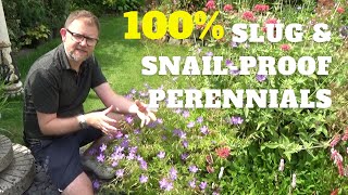 100 Slug Proof Perennials  Slug amp Snail Resistant Plants  Perennial Plants that Slugs Wont Eat [upl. by Anivahs]