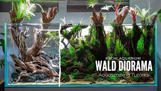 Aquascaping Tutorial 300L Wald Diorama Aquarium Komplette Einrichtung [upl. by Ludovico]