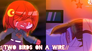 🕊️Two birds on a wire meme🕊️Gacha memeVer2Ft Our friendship begins  AliMeow [upl. by Kursh]