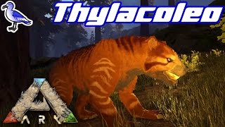 HOW TO TAME A THYLACOLEO IN ARK [upl. by Gusba]