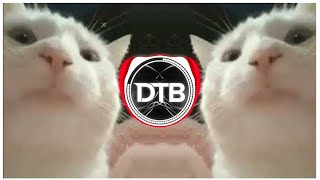 Cat Vibing Meme DNK 2021 EDM Remix [upl. by Keverian299]