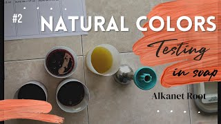 Testing natural colorant in cold process soap This time I will be testing alkanet root [upl. by Ariem]