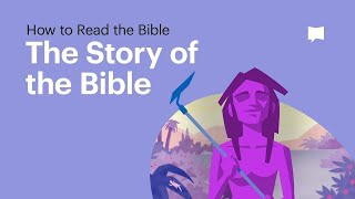 The Story of the Bible • What Its About From Beginning to End [upl. by Kurtis]