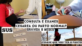 MEU PARTO VAI SER CESÁREA SUS CONSULTAS E EXAMES 8 MESES [upl. by Gnep]