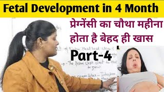 Fetal Development Part4 in hindi by Ranjana rock  चार महीने की गर्भावस्था में बच्चे का विकास [upl. by Ailekat]