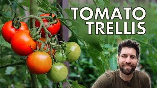 How to Build The BEST Tomato Trellis [upl. by Ritz]