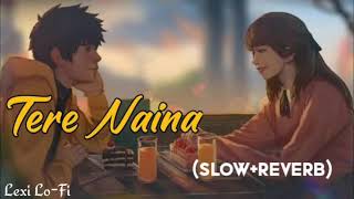 Tere Naina SlowReverb  Chandni Chowk to China  Lexi LoFi [upl. by Godbeare790]