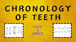 Confused About Eruption Time of Teeth  Learn the easy way [upl. by Leaffar605]