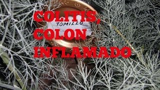 Colitis Colon Inflamado  Colitis Irritable Colon [upl. by Narak461]