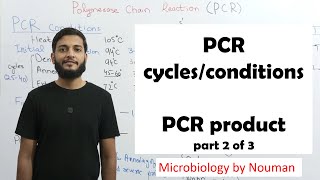 Polymerase chain reaction  PCR cycles conditions  PCR Product part 2 of 3 [upl. by Mandy499]