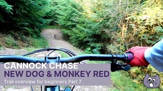 Cannock Chase Follow The Dog and Monkey Trails 2021 Pt7 [upl. by Ttegirb314]