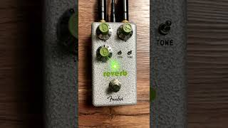 エフェクターペダル「HAMMERTONE™️ PEDALS」 REVERB shorts [upl. by Cleavland]