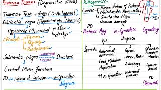 Parkinson Disease  CNS pathology  parkinsons disease in hindi  robbins pathology cnspathology [upl. by Ennaitsirhc347]