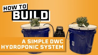 How to Build a Hydroponic System Under 30  Deep Water Culture Hydroponics [upl. by Ogires11]