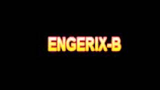 What Is The Definition Of ENGERIX B  Medical Dictionary Free Online [upl. by Anahpos79]