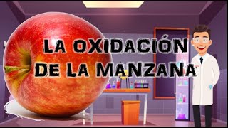 La oxidación de la manzana Experimento [upl. by Tabbitha]