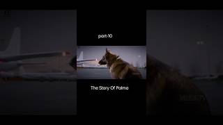 The Story Of palma part10 shorts movieexplaininnepali viralshort imotional [upl. by Bikales]