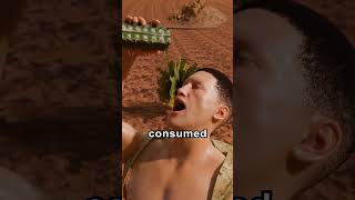 Why You Shouldnt Drink Cactus Water 😱 [upl. by Eylrac745]