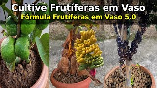 Como cultivar Frutíferas em Vaso  Fórmula Frutíferas em Vaso 50 [upl. by Arihaj286]