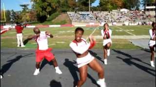 2012 WSSU Cheerleaders Its called Survival [upl. by Qirat894]