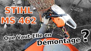 MS 462 ou MS 500i Laquelle Choisir chez STIHL pour du Démontage [upl. by Itsuj]