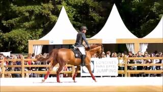 Simon Delestre Hermès Ryan Leprévost Ratina paddock Eiffel 2016 saturday [upl. by Azne426]