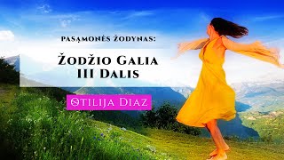 Pasąmonės Žodynas Žodžio galia III DALIS [upl. by Arocet]