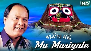 Mun Marigale Mo Shaba Ku  Emotional Jagannath Bhajan ମୁଁ ମରିଗଲେ ମୋ  Md Aziz  Sidharth Music [upl. by Atirys]