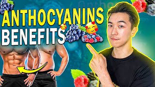 Why you should have more anthocyanins Benefits of high anthocyanins in your diet [upl. by Flossi863]