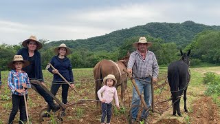 ASÍ TRABAJAMOS EN EL CULTIVO DE NUESTRA SIEMBRA DE MAÍZ 🌽 [upl. by Merras]