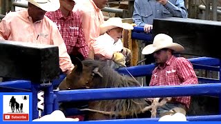 Bronc Riding  2021 Coors Cowboy Club Ranch Rodeo  Saturday [upl. by Nunes]