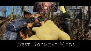 Fallout 4 Mods  Best Dogmeat Mods [upl. by Ahsimot23]