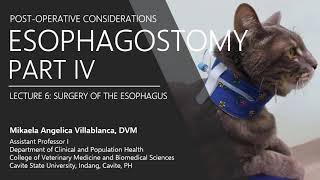 Lecture 610 Esophagostomy IV Post operative Considerations [upl. by Eeresid]