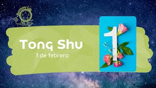 Consejos del Tong Shu para el 1 de febrero Cabra de Madera Yin [upl. by Ennaeirrac]